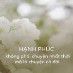 150+ stt hạnh phúc ý nghĩa nhất về cuộc sống, tình yêu