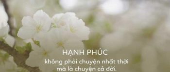 150+ stt hạnh phúc ý nghĩa nhất về cuộc sống, tình yêu