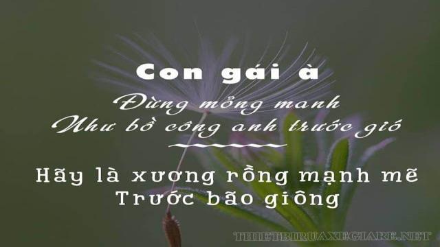 stt về người phụ nữ đẹp