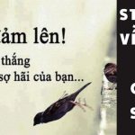 Stt Về Đêm Chất ❤️ Status Tâm Trạng Về Đêm Buồn Cô Đơn