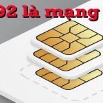 0292 là mạng gì? Mã vùng điện thoại 0292 ở đâu, thuộc tỉnh nào?