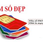 0363 Là Mạng Gì, 0366 Là Mạng Gì? Mua Sim 0363 - 0366 Ở Đâu Tốt Nhất Hiện Nay?