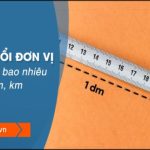 1 dm bằng bao nhiêu cm, mm, m?