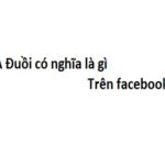 A đuồi là gì? Nó mang nghĩa tích cực hay tiêu cực khi nói?