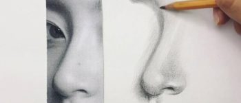 Cách vẽ mũi đẹp đơn giản đủ các hình dáng và kích thước