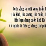 Cuộc sống là gì? Ý nghĩa thực sự của cuộc sống