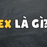 Ex nghĩa là gì? Ex là viết tắt của từ gì trong tiếng Anh?