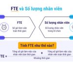 TƯƠNG ĐƯƠNG TOÀN THỜI GIAN (FTE) VÀ SỐ LƯỢNG NHÂN SỰ (HEADCOUNT): SỰ KHÁC BIỆT CHÍNH MÀ NHÂN SỰ NÊN BIẾT