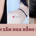 999+ Hình xăm hoa hồng mini Đẹp & Ý nghĩa Hay 2024