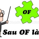 Sau of là gì? Cách sử dụng của Of trong tiếng Anh