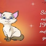 Tử vi người sinh năm 1999: 1999 mệnh gì? hợp màu gì? tính cách ra sao?