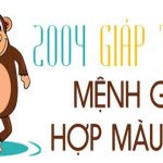 2004 hợp màu gì? Màu sắc đem lại phong thủy, tài lộc