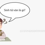 Sinh Tử Văn là gì? Thanh Thủy Văn là gì? Xuyên Thư là gì?