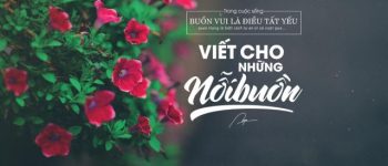 Những câu nói, stt về người yêu cũ hay nhất