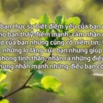 1000 Những câu nói hay về tình bạn thân, bạn đểu, Stt hay về tình bạn!