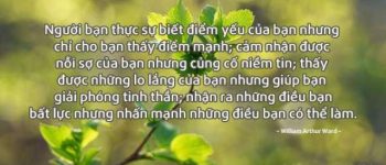 1000 Những câu nói hay về tình bạn thân, bạn đểu, Stt hay về tình bạn!