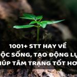 1001+ STT hay về cuộc sống - Câu Nói Ý Nghĩa Thay Đổi Đời