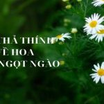 Tổng hợp 999+ những câu thơ và STT thả thính về hoa siêu ngọt ngào, lãng mạn